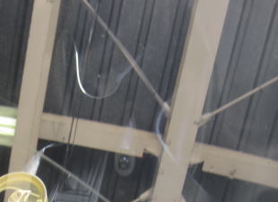 2015.4._7ビート_キズ.jpg
