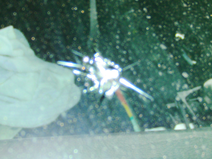 2012.10.15_ミラ_キズ.png