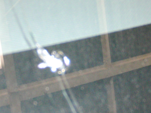 2013.03.19_ウィッシュ_キズ.png