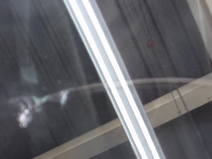 2015.5.23_スイフト_キズ.jpg