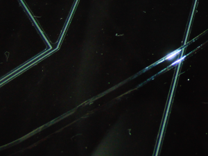 r2013.06.20_フィールダー_キズ.png