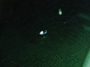 2013.03.07_モビリオスパイク_キズ.png