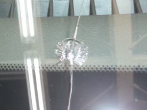 2015.6.4_ｱﾙﾌｧｰﾄﾞ_ｷｽﾞ.jpg
