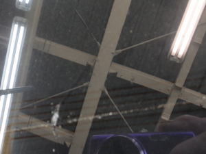 2015.4.8_ストリーム_ｷｽﾞ.jpg