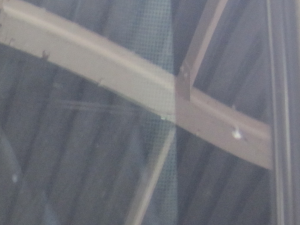 2013.11.15_トッポ_キズ.png
