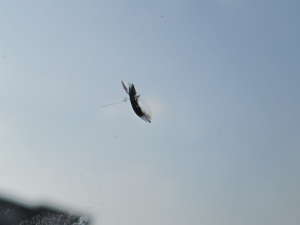 2012.03.22_タント_キズ.png